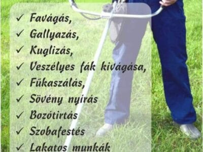 Rendezett kert, ápolt gyep – Bízza rám a fűnyírást!