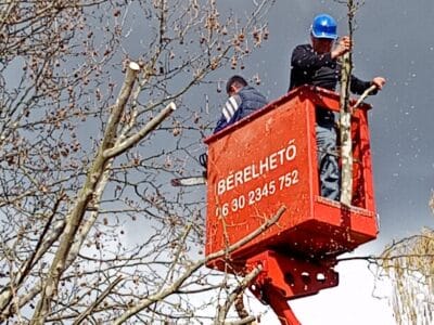 Veszélyes fa? Árnyékol vagy útban van? Bízza ránk a fakivágást!