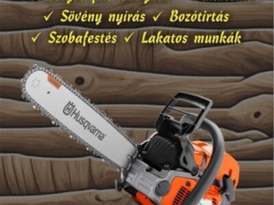 Sűrű, zöld pázsit? Kezdjük az alapoknál – Bízza ránk a füvesítést!