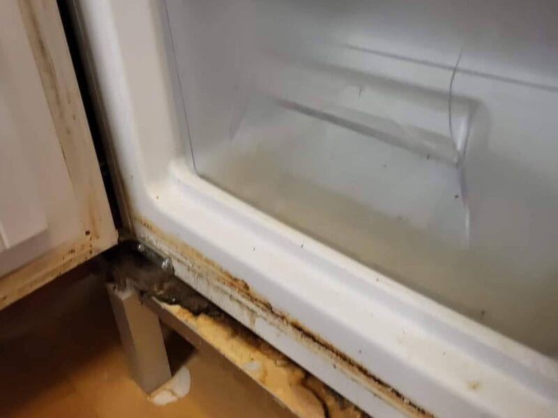❄️ Hűtő takarítás Debrecenben – Tiszta és higiénikus hűtőtér minden napra!